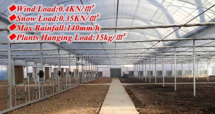 Film Covered Greenhouse for Agriculture in Namibia Affordable and Customizable Height