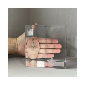  Acrylic Swimming Pool Accessories Air Pump See-Through Overflow Cast Cozy Panels by Aupool Manufactures