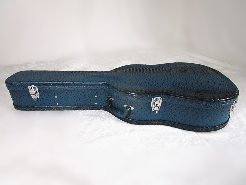 guitar hard case