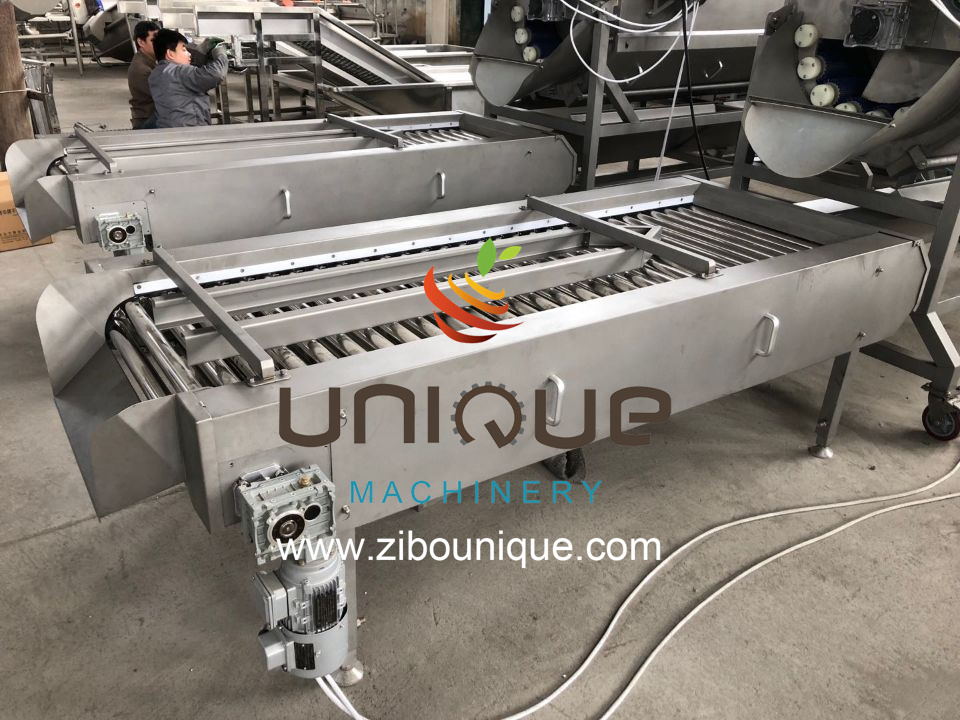 Sweet Potato Peeling and Washing Machine for Commercial Voltage 220v/380v/Customized