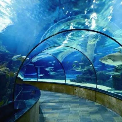 Safe Window Curved Glass ODM OEM Tempered Glass Transparent Toughened Glass 3mm