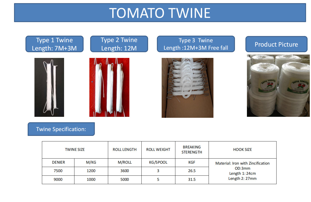 Anti UV Agriculture Tomato Twine Polypropylene Twisted Thread White 1g/M 2-5kg/Roll