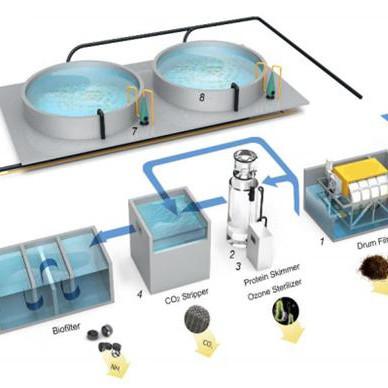 Rotary Drum Filter for Aquaculture Fish Farming Membrane Separation Biological