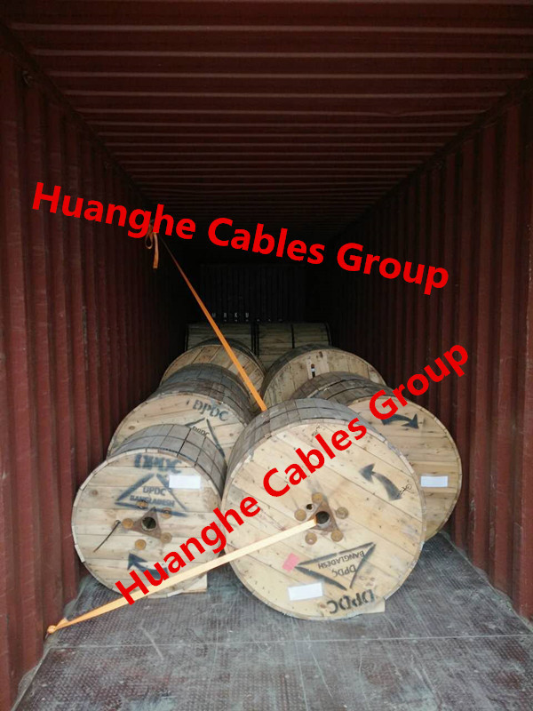 IEC60502 PVC Insulated Cable Xlpe Insulated Pvc Sheathed Cable 0.6 / 1KV