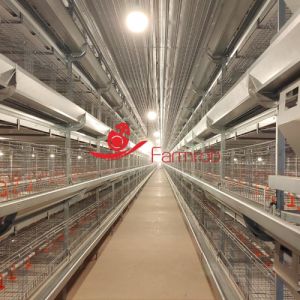 China Premium Poultry Cage System 4-Tier Adjustable Chick Brooder on sale