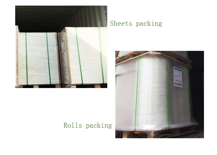 High Stiffness And Whiteness 180 Gsm - 450 Gsm Ivory Board Paper FSC Certified