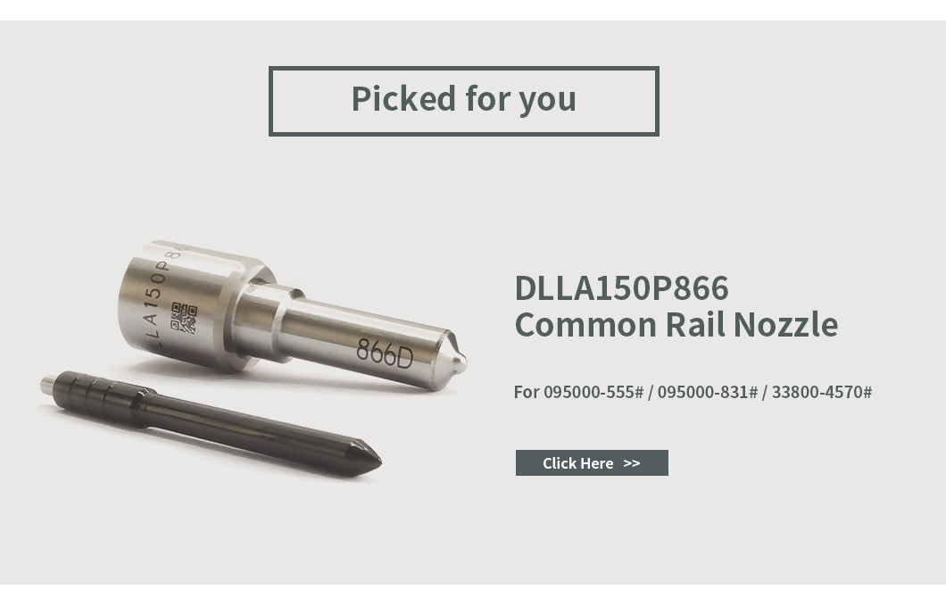 Denso Injector Repair Kit For Injectors 095000-555# / 831# DLLA150P866