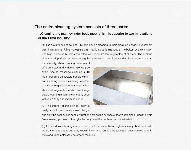 1000KG/H Double layer spray leaf vegetable cleaning machine large bubble eddy current vegetable cleaning machine