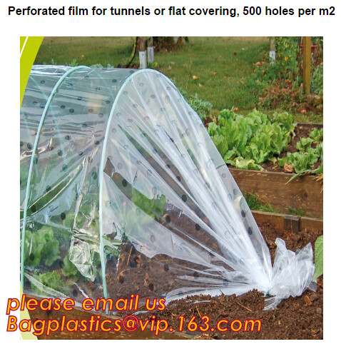 Multi-Span Plastic Film Cover Natural Ventilation Vegetable Greenhouse,Greenhouse Kits Plastic Greenhouse 200 micron gre