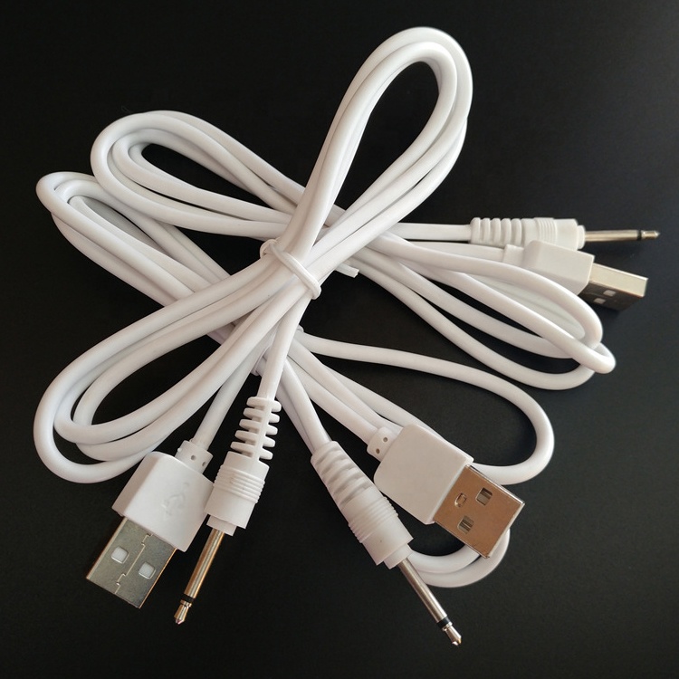 Multi Sizes USB to 2.5mm DC Jack Power Charging Cable for Vibrator