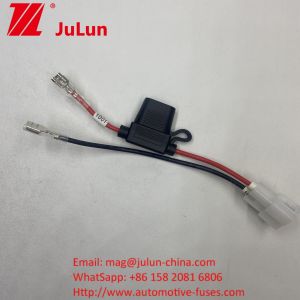 15A Fuse Holder Wire Harness with Automotive Electric Vehicle Wire Harness EV Wiring Assembly with Fuse Protection