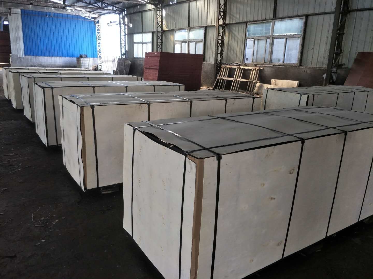 MR Glue 9mm Film Faced Plywood For Office Building