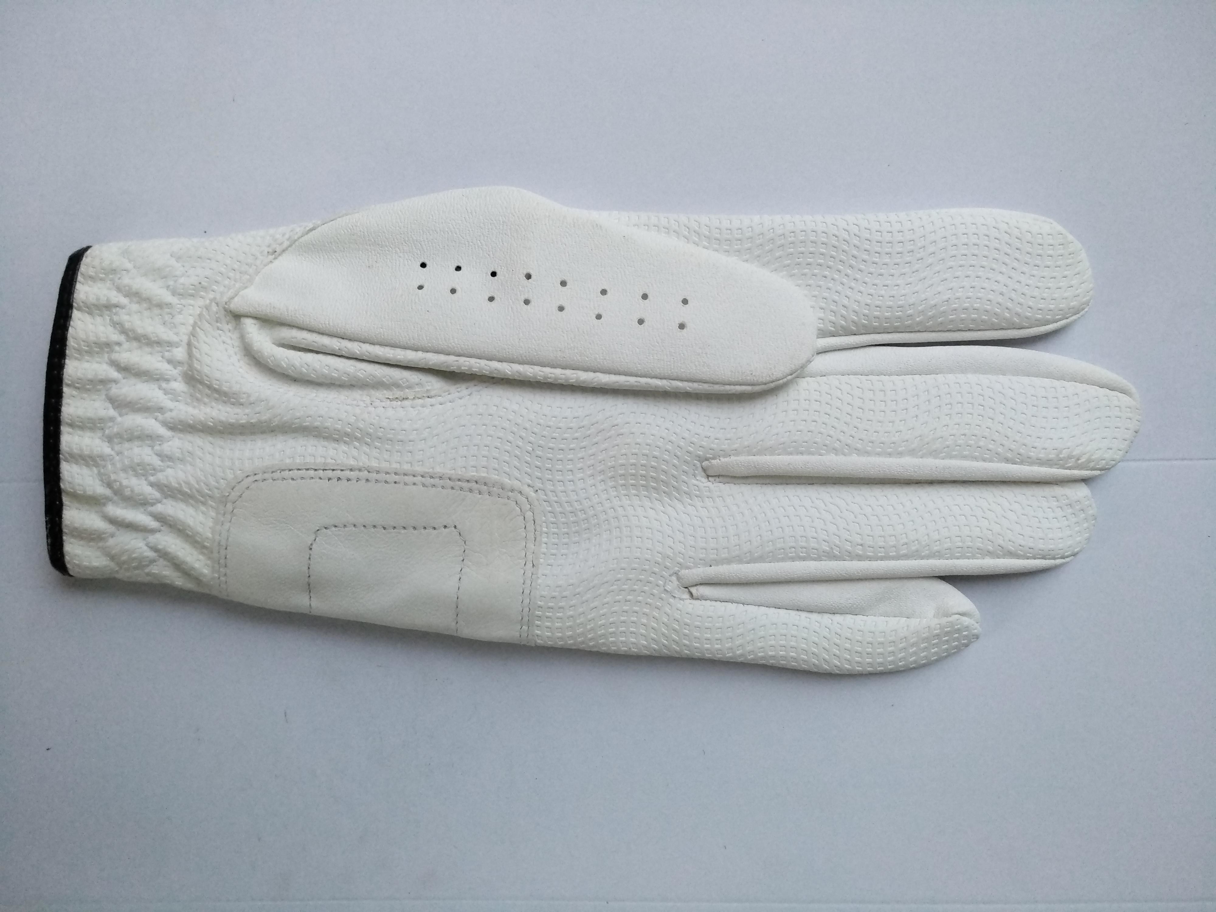 golf glove , golf gloves , glove , gloves