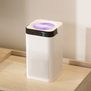 China UVC True HEAP Ionic Air Purifier Near by me on sale
