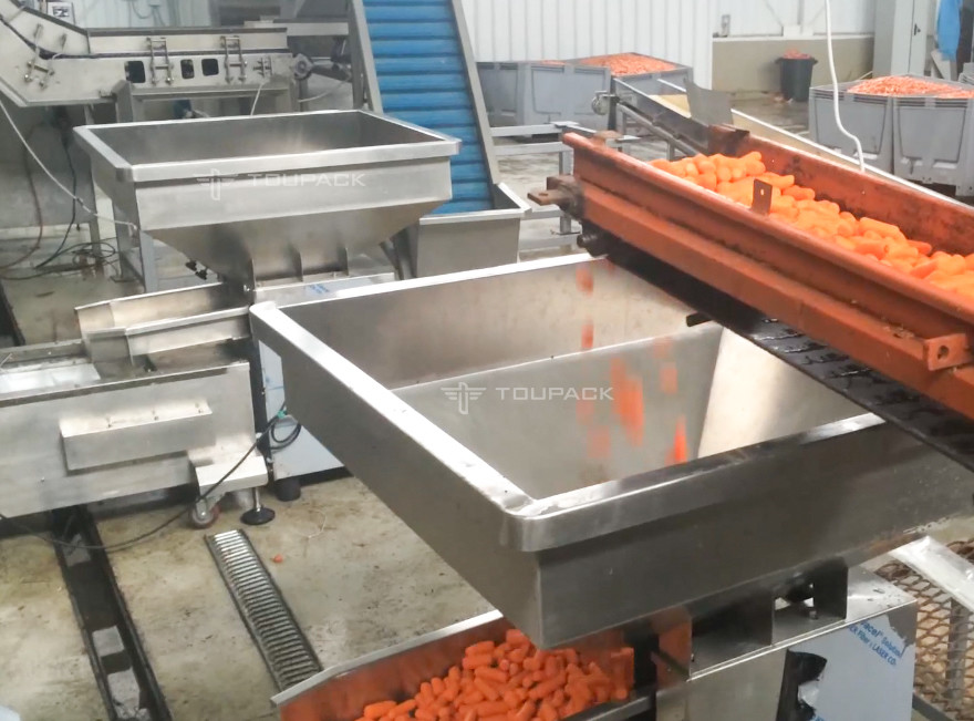 SS316 Weighing Filling Machine Vertical Lettuce Watercress 500g Baby Carrot Weighing Packing Detecting Machine