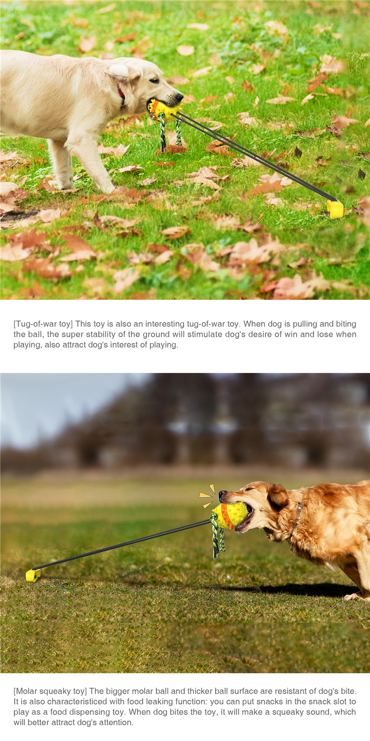 ABS Elastic Dog Chew Toy Interactive Outdoor Drawstring Ball