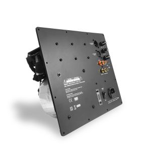  Class D Subwoofer Amplifier Board with 4 Ohm Output Impedance 30-200 Hz Frequency Response and Toroidal Power Supply Manufactures