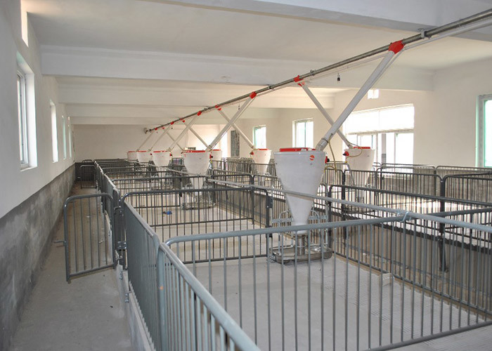 Hot Dip Galvanized Piggery Farm Equipment PVC board Weaner Raised Farrowing Crate