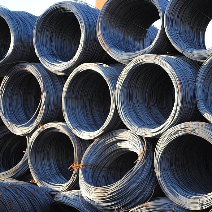 5.5mm Galvanized Steel Wire Rope Nylon PA12 Coated Galvanized Iron Wire