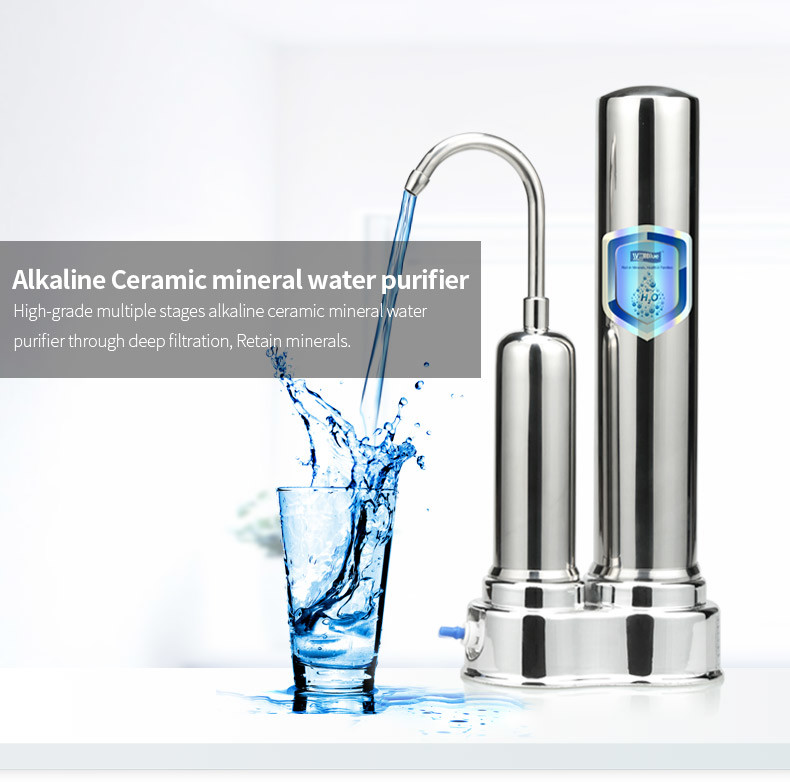 SS304 Housing Mineral Countertop Kitchen Water Filter For Remove Chloride