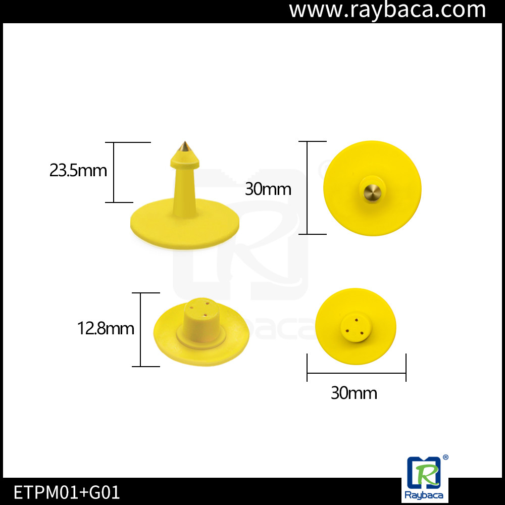 Shape Two Side Support Laser Printed Diffrent Color For Identification