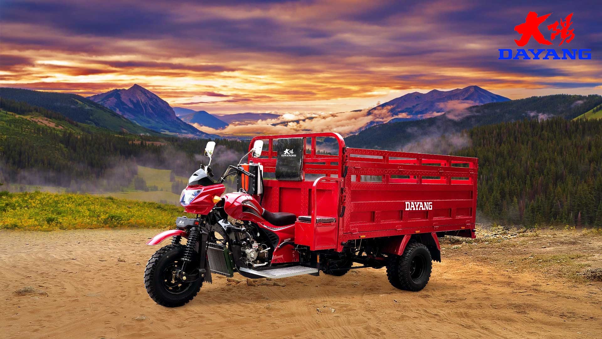 Certified Alibaba Gold 5 Wheels Petrol Motorized Cargo Tricycle with High Payload Capacity