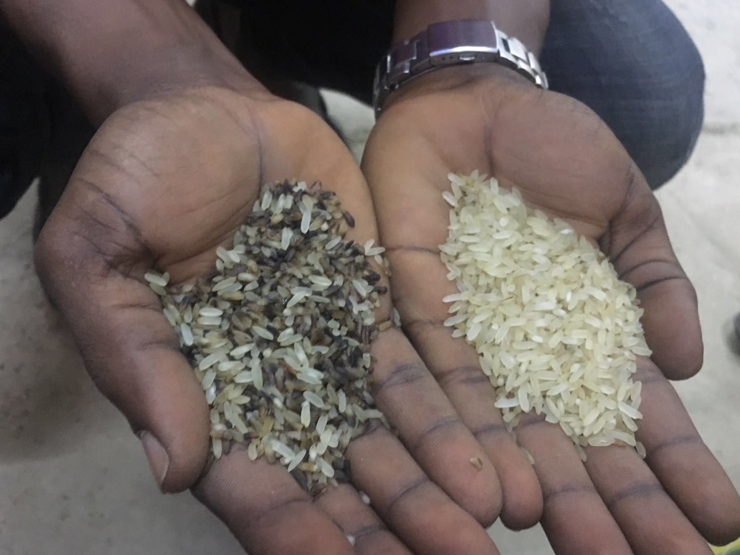 One Chute CCD Cameras Rice Sorting Machine High Capacity
