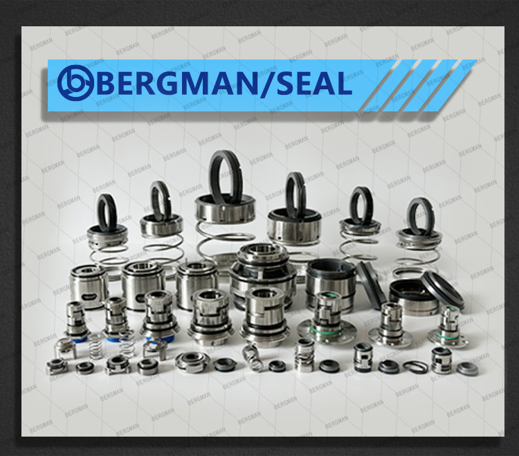 BERGMAN 560C-10 12 14 15 16 18 19 20 22 25 28 30 32 35-60mm Pump Mechanical Seal