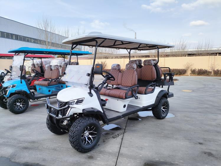 Lithium Electric Golf Carts Customized Manufacture Off Road Street Legal