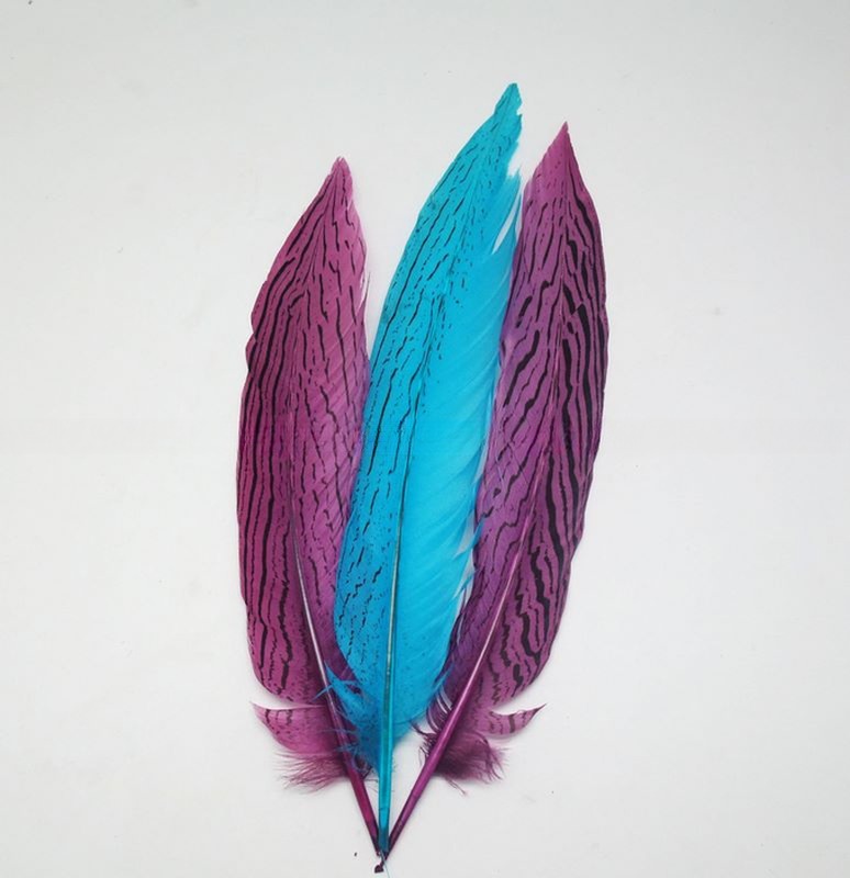 Carnival Costumes Silver Pheasant Feather Hat Decoration with Dyed Patterned Feather
