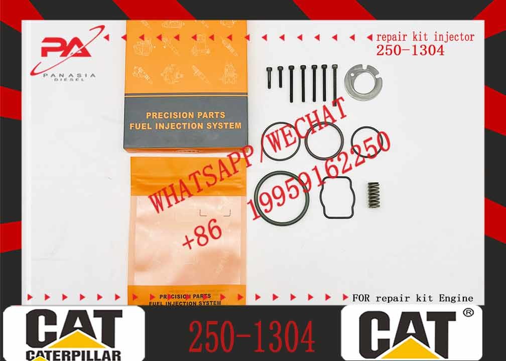 Diesel Engine Injector162-8813 246-1854 250-1311 250-1302 250-1304 250-1303 250-1306 250-1308For Caterpillar C3512B Common Rail