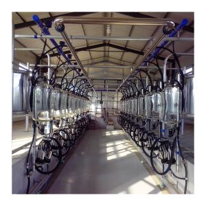 Dairy Farm Fishbone Automatic Herringbone Milking Parlour Low Noise