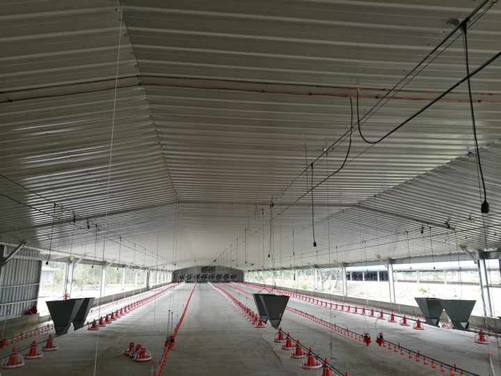 Steel Structure Chicken House Broiler House Farm Shed Poultry Building Prefabricated Warehouse Builidngs