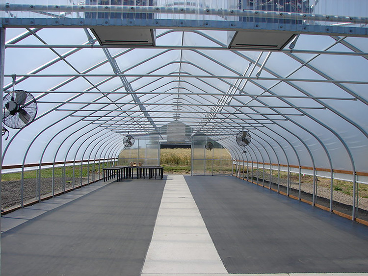 100 Micron PE Film Greenhouse Single Layer Plastic Tunnel Greenhouse