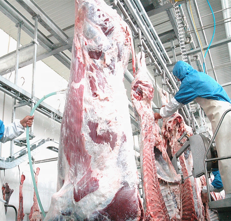 Customized 7.5KW Slaughterhouse Cow Machine Automatic Cow Slaughtering Machine