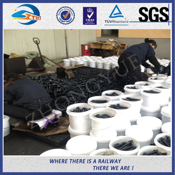 Customized 35# 45# Railroad Screw Spike For Railway Fastening System Construction