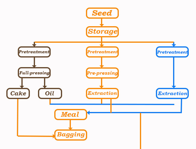Stainless Steel Cold And Hot Edible Oil Pressing Equipment Turnkey Services