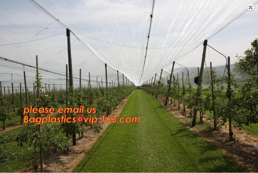 PE safety net for building and construction debris safety net,Safety Nets for Construction Safety 120g Construction Buil
