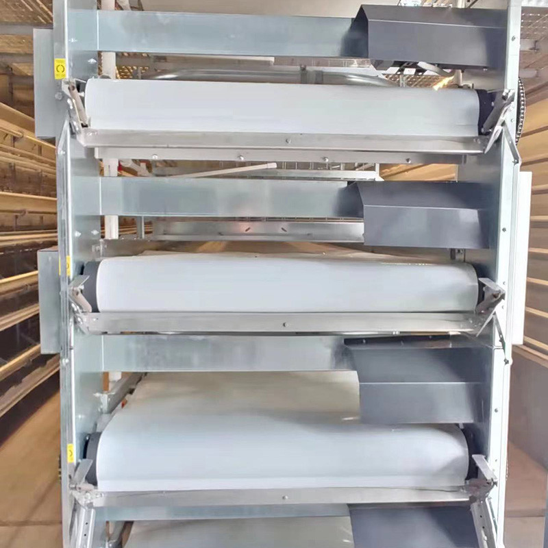 Poultry Farm H Type Layer Cage 25.5 * 24.5'' Better FCR ISO9001