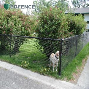 Dog Playpen Chain Link Fence Chew-Proof Edging