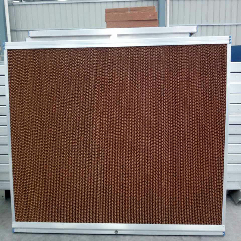 Commercial Greenhouse Poly Film Multi-Span Film Greenhouse for Planting Tomota, Cucumber, Lettuce