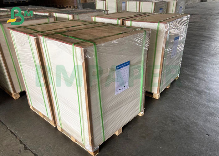 Gloss Coated One Side Pharmaceutical Packing White FBB Ivory Board Sheet 