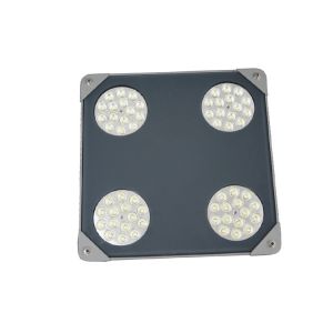 50 Watt LED Outdoor Dimmable LED Canopy Lights adjustable bracket ATEX