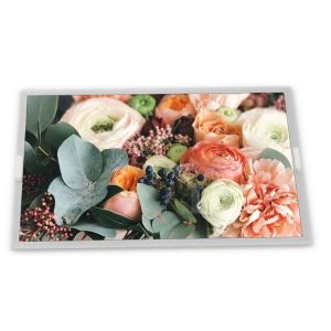 4.3-Inch AM-480272H3TMQW-W2H WLED TFT LCD Display Module RGB Interface 480*272 Resolution Specific Application ODM Suppliers