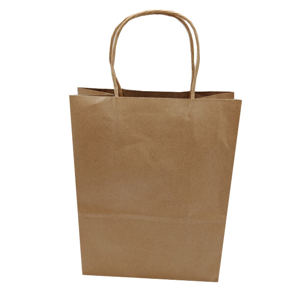 Paperboard Recycled Shopping Bags