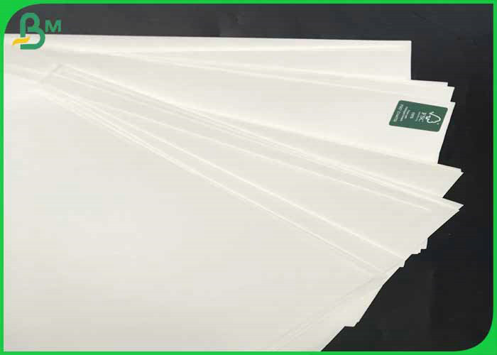 Fully Safe & Clean 70*100cm 160gsm +12g PE Cup Paper Roll For Coffee Cup