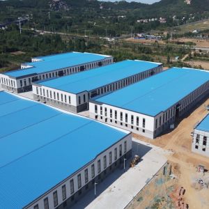 Light Steel Structure Factory Building with 50-Year Lifespan