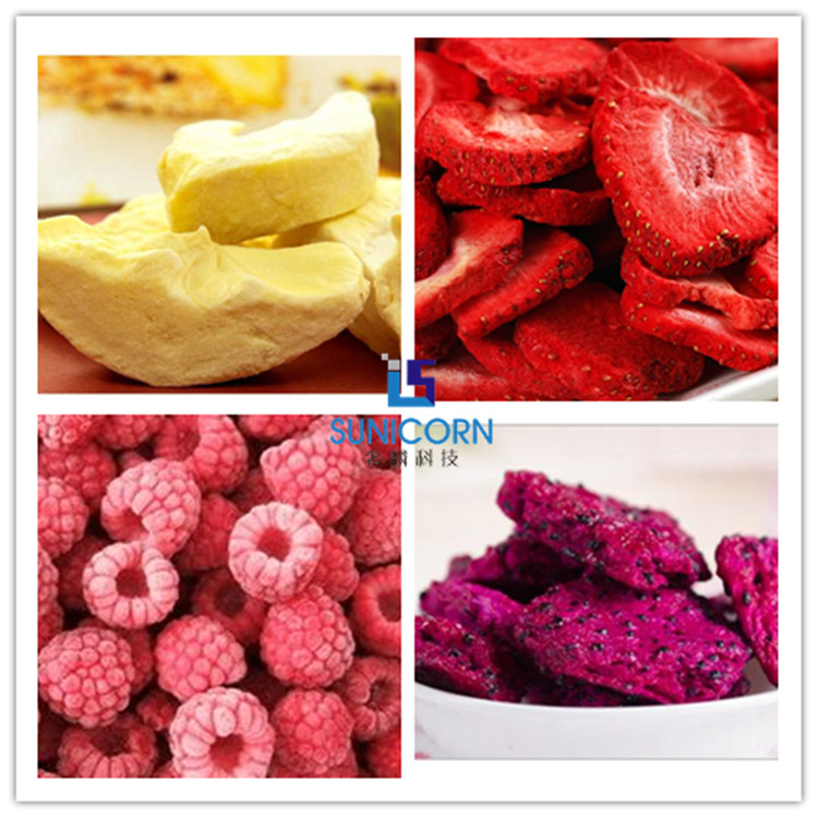 Electric Heating Home Vacuum Freeze Drying Equipment For Vegetable Honey Strawberry Rose