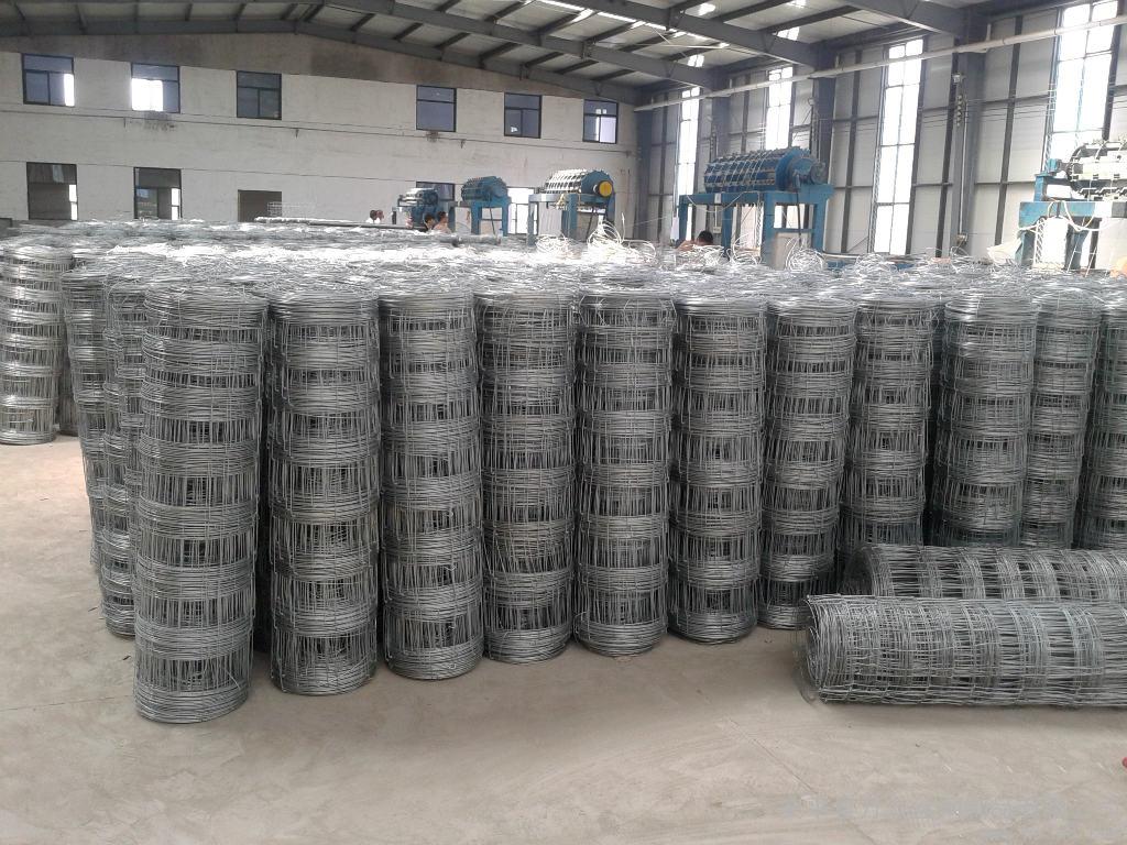 Heavy Duty Electro Galvanized Field Fence Weave Deer Fence High Tensile Cattle Fence For Animal Enclosure