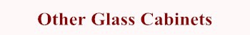 Salon Display Glass Cabinet FJ-103